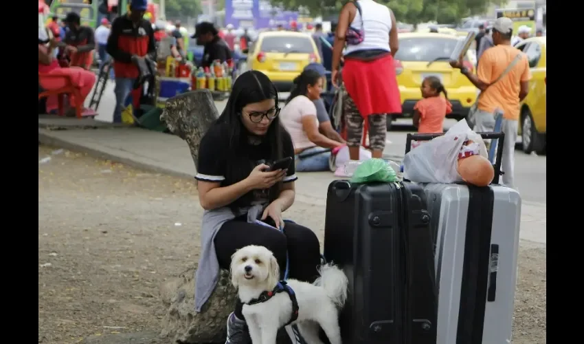 Vista de los extranjeros. 