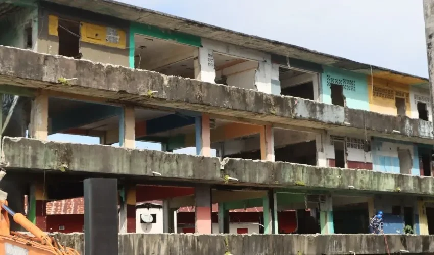 Los edificios se han convertido en criaderos de alimañas. 