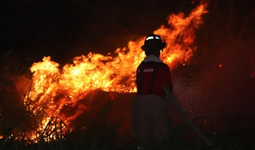 Los incendios están prohibidos en residenciales. 