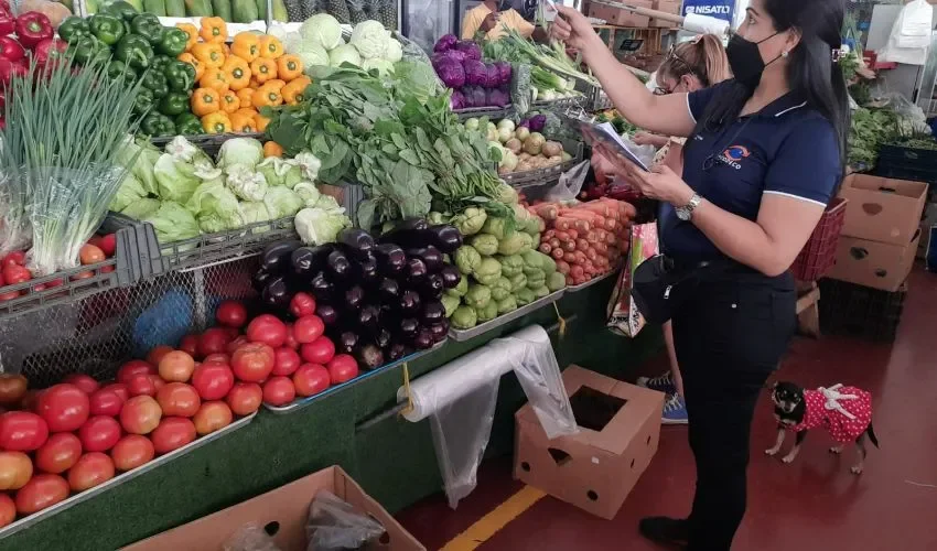 Puesto de venta de frutas y legumbres.