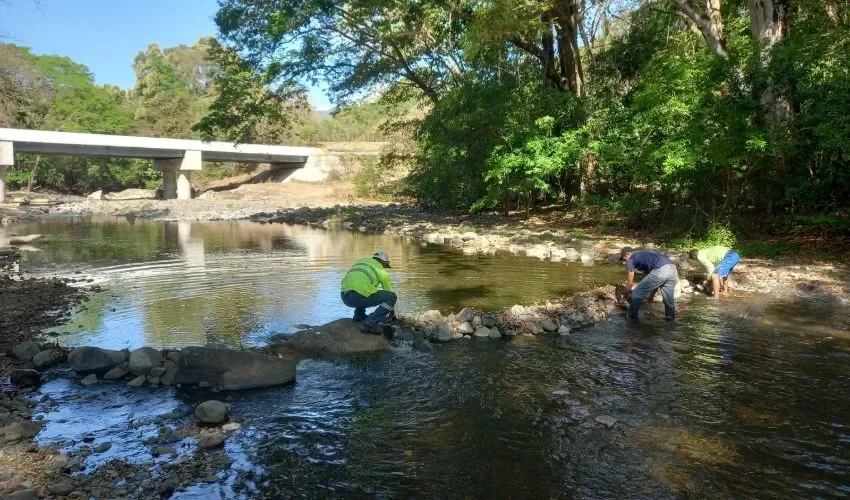 Las minirepresas fueron eliminadas. 