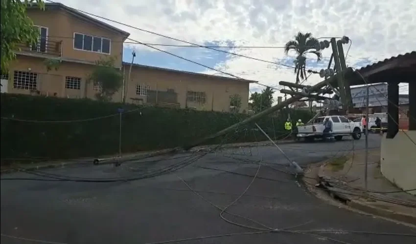 Vista de las áreas afectadas. 