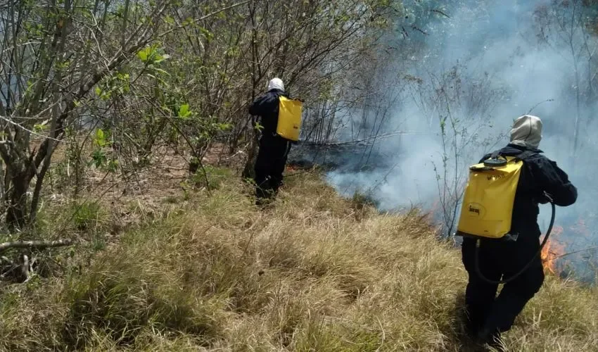 Los bomberos esperan sus compensaciones. 