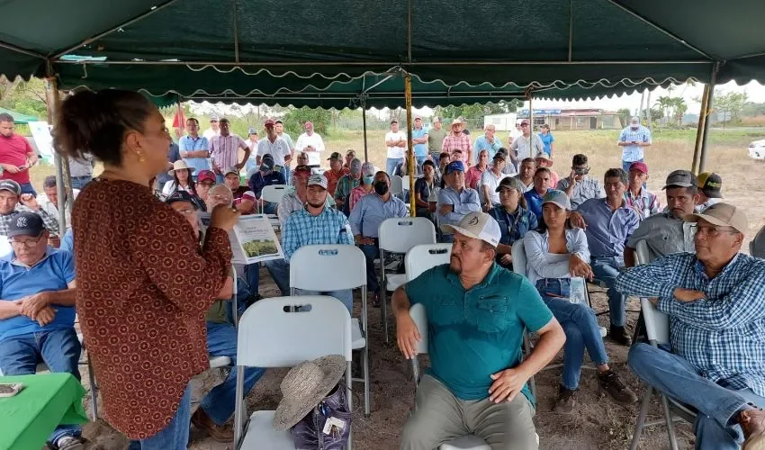 Los productores recibieron charlas técnicas de personal del IDIAP.