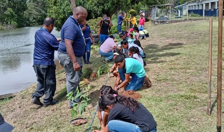 Los estudiantes aprendieron sobre la importancia de la reforestación.