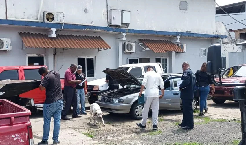 Las autoridades inspeccionan los autos. 