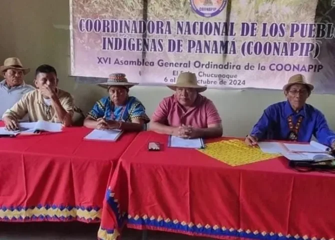  Leonides Cunampia asume la presidencia de COONAPIP 