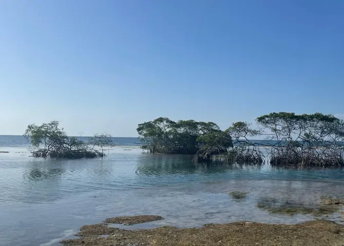  Presentan a MiAmbiente iniciativa de crear área protegida en el distrito de Santa Isabel 