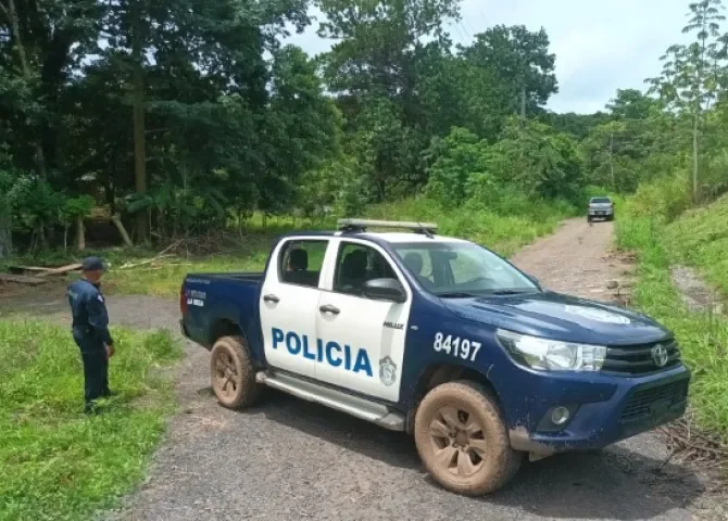  Hombre murió electrocutado mientras podaba árboles en Mariato, Veraguas 